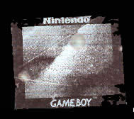 a fragmented portrait taken with a gameboy camera (8)